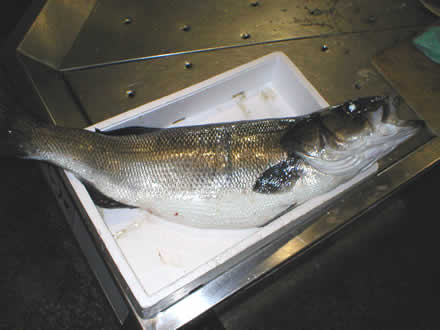 Zimska carica u pulskoj ribarnici 20.01.2006. - 7,20 kg (po 120,00 kn/kg) - navalite