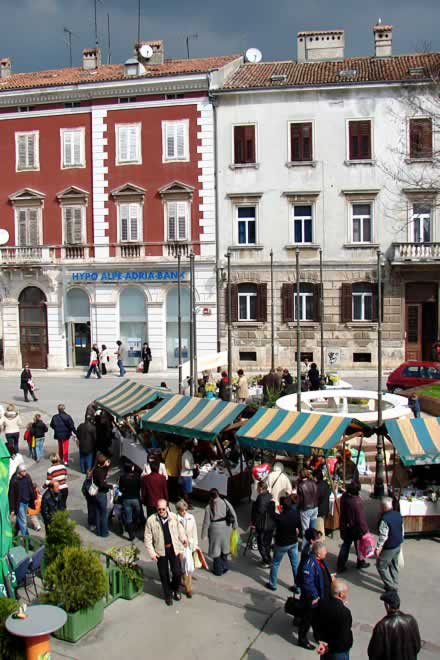 Ovogodi�nji Dan NARCISA (24.03.2007.) privukao je brojne puljane na gradskoj tr�nici, koji su kupovinom buketi�a narcisa, tulipana i ostalog prigodnog cvije�a potpomogli akciju borbe protiv raka dojke.