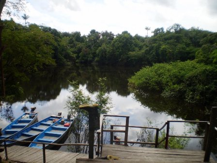 Pogled sa terase na Amazonski rukavac