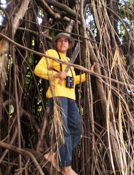 Gerlo - vodi� kroz pra�umu