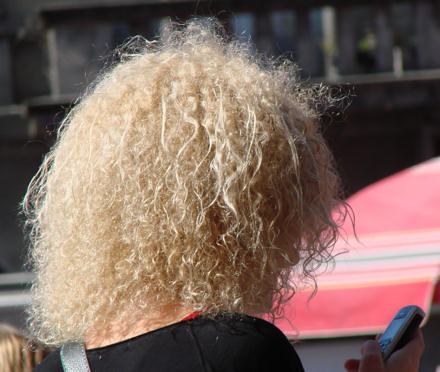 Zagreba�ica - plavu�a na Dolcu.