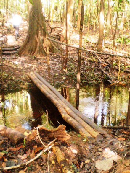 Most u ki�noj pra�umi