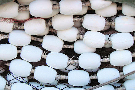 �ekanje mraka i sardele