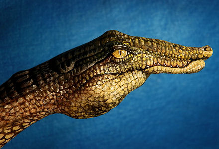 �ta sve mo�e ljudska ruka..</span><div class=